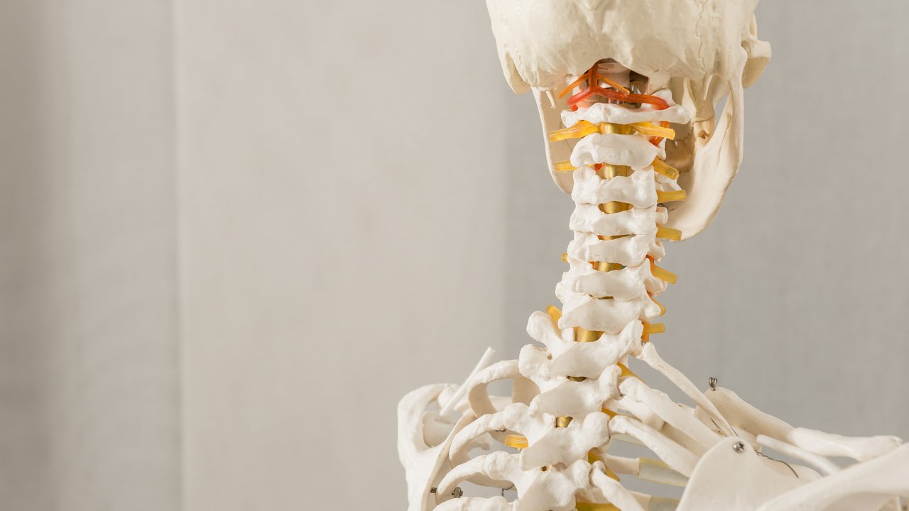 Orthopädie im Marianowicz Zentrum für Diagnose & Therapie