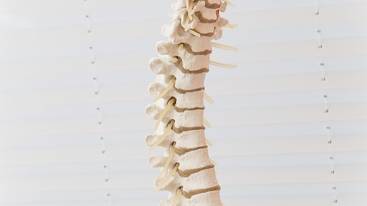 Tag der Rückengesundheit am 15. März: Marianowicz Medizin fordert neues Bewusstsein für Prävention von Rückenschmerzen